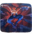 کیف حمل کنسول PS4 | Spider Man