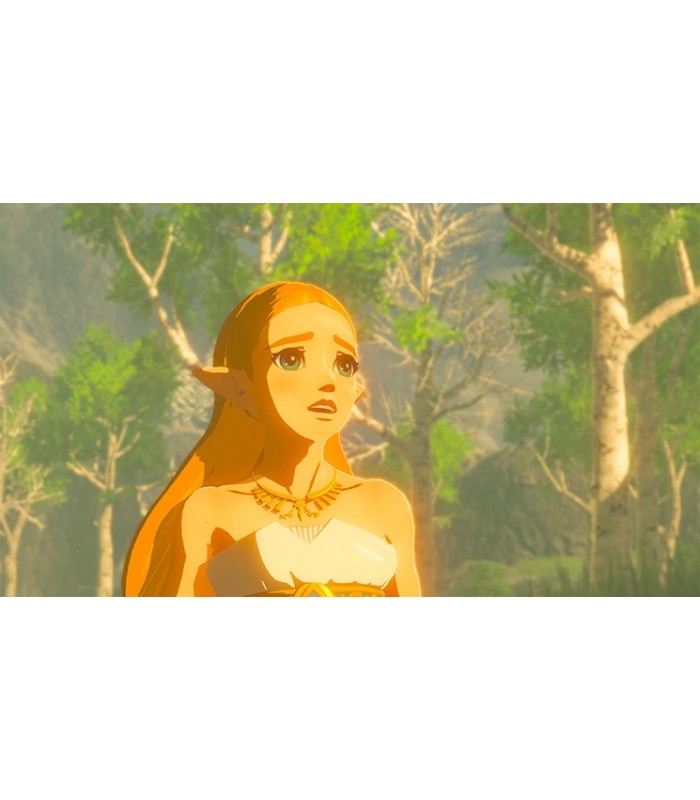 بازی The Legend Of Zelda:Breath Of The Wild مخصوص Nintendo Switch