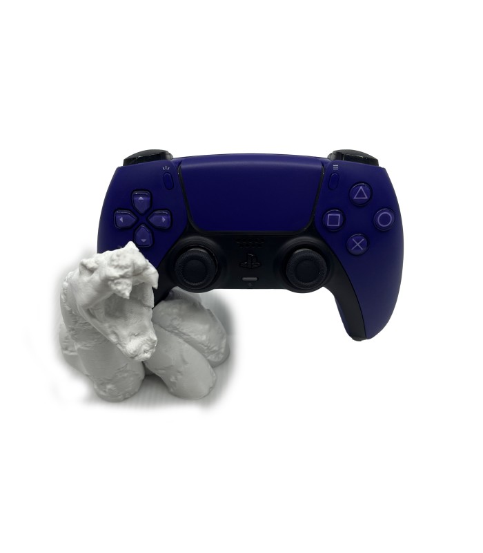 استند کنترلر دوال سنس طرح مار